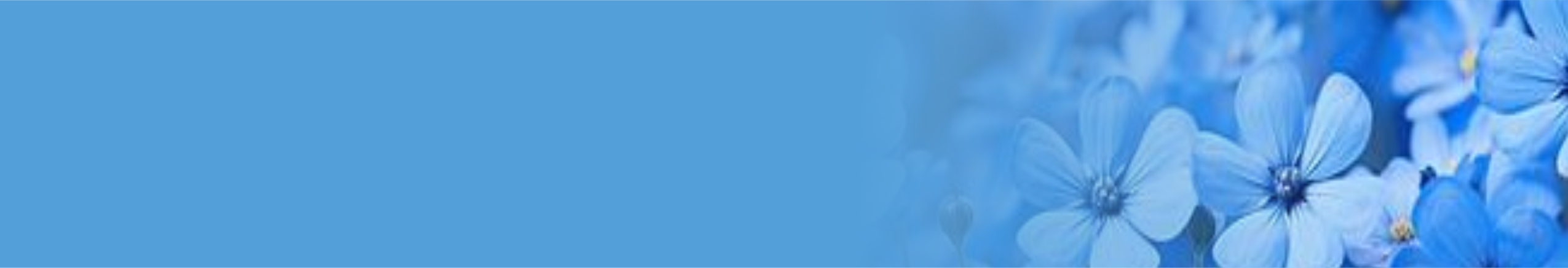 Investment Committee